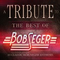 Hollywood Nights Band、B.Seger - American Storm