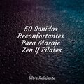 50 Sonidos Reconfortantes Para Masaje Zen Y Pilates