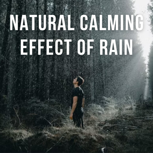 Loud Lullaby、Rain Sound Experience、Massage Spa Playlist - Pour Intention