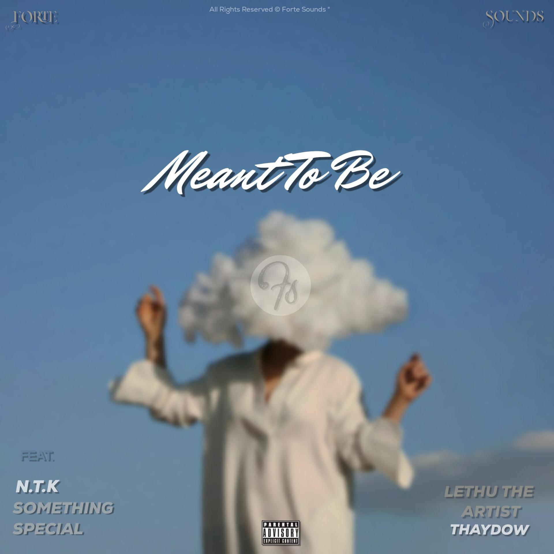 Something Special、Forte Sounds、N.T.K、Lethu The Artist、Thaydow - Meant To Be (feat. N.T.K Something Special Lethu The Artist & Thaydow)