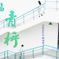 浅夏June、梅傲雪 - 青柠