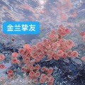 王佩奇、花花 - 不是因为寂寞才想你
