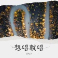 CNLY - 忘记天忘记地