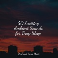 50 Exciting Ambient Sounds for Deep Sleep