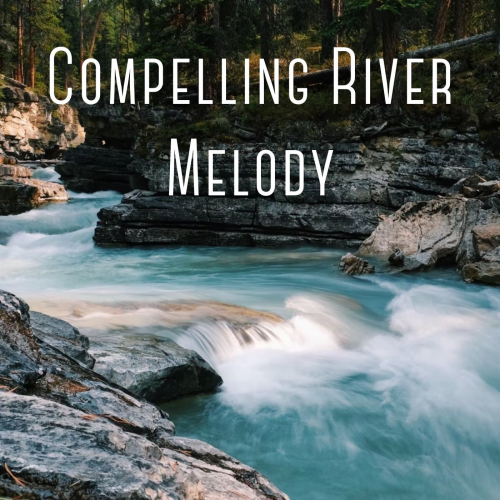 Chill Playlist、Nature Sounds Nature Music、Nature Rainforest Sounds Collective - Friendly care