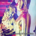 67 舒缓的冥想之声 (2022 软背景工作室)