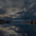 Sounds of Nature | Serenity