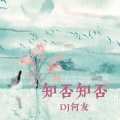 知否知否 (DJ何友 remix版)(Remix)