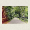 Folits - 手紙