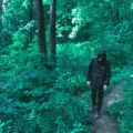 KxllSwxtch、7XVN、TEENAGEPOPSTAR! - ROMEO & JULIET (feat. Kxllswxtch & 7xvn)(Explicit)