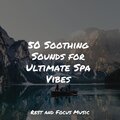 Spa Music | Relaxation
