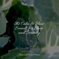50 Calm & Slow Sounds for Sleep and Serenity