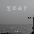 张彬 - 雾起海岸