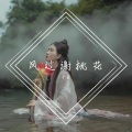 张同学呀 - 归去来兮