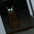 C2T - Psychological Horror