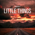 Little Things