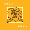 Salvo - Hero