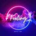 David T Boy - Feeling