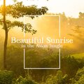 Harmony Nature Sounds Academy、Beautiful Nature Music Paradise - Solfeggio for Mind
