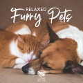 Pet Care Club - Pets Frequencies
