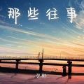 张彬 - 那些往事