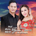 Lưu Ánh Loan、Đoàn Minh - Lại Nhớ Người Yêu (feat. Đoàn Minh)