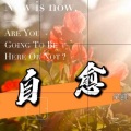 吴坑 - 自愈