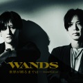 世界が終るまでは… (直到世界尽头)(WANDS 第5期 ver.)