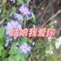 姑娘我爱你 (DJ何友 remix版)(Remix)