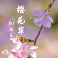 樱花草 (DJ何友 remix版)(Remix)