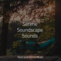 Serene Soundscape Sounds