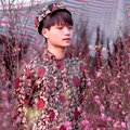 Nghệ An Ngày Nào