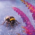 Pete Ardron、Samantha Ray - Requiem for a Buddleia, Pt. 1