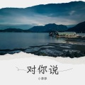 半吨兄弟 - 对你说 (田浩宇变速版)