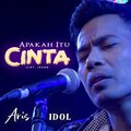 The Aris Official - Apakah Itu Cinta