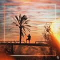SY-ae、Konducta  Beats - Typical Pasion (feat. Konducta Beats)(Explicit)
