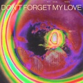 Don't Forget My Love