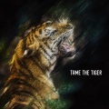 Cat Music、Music For Cats、Cat Music Experience - For All There Could Be
