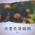 衫衫 - 真心不假