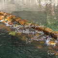 Rain: Gentle Stream Sound Mind Relaxing Music Vol. 1 - 3 Hours