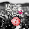 Tunk - 送你一朵小红花