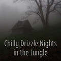 Chilly Drizzle Nights in the Jungle - 1 hour