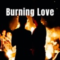Soft Dinner Music、Binaural Beats Spa、Meditation Music Playlist - Calming Fire Piece of Timber