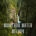 Living Room Music、Baltic Nature Sounds、The Spa Guys - Calming Wildlife