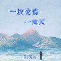 一段爱情一阵风 (DJ何友 remix版)(Remix)