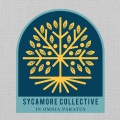 Sycamore Collective - Sycamore Timeline (Season One)