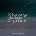 50 Sonidos de Meditación Y Concentración