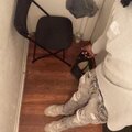 hemi * (Explicit)