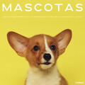 Colectivo De Música Para Perros、Música Para Perros、Sueño Encantado - Mascotas: Música Reconfortante De Naturaleza Para Relajar Perros y Gatos - 3 Horas