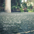 Calming Rain Sound Sleeping Music Vol. 1